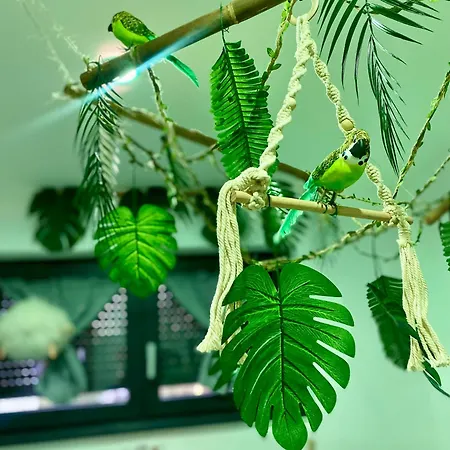 Europ-appart --- Europa-park-rulantica * Huttenheim