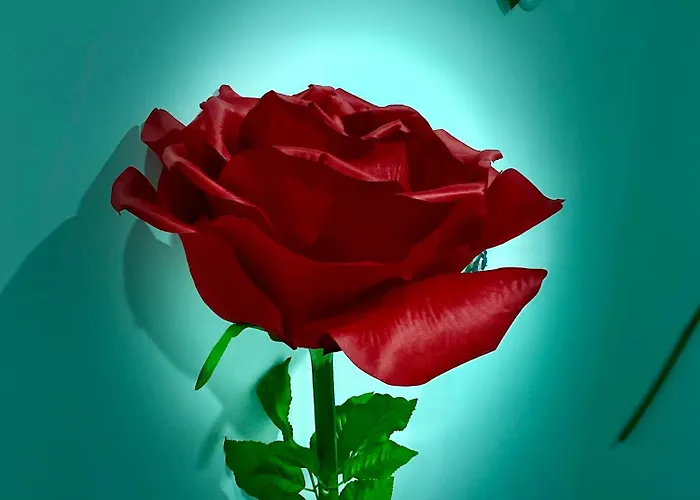 아파트 Europ-appart --- Europa-park-rulantica 후텐하임